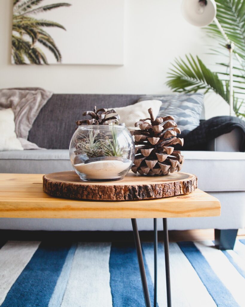 Detail decor with glass vase with sand and a pine cone next to it, palm tree plan in the background and a sofa