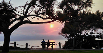 A couple sitting on a bench watching sunset at a waterfront, silhouette of them and trees around